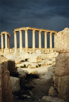 preview Palmyra